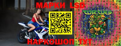 mdpv Аргун